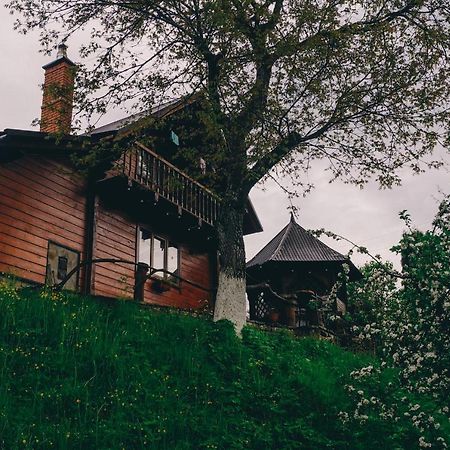 Будиночок В Карпатах ياريمتشي المظهر الخارجي الصورة
